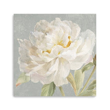 Angelic White Peony Flower Unframed Print Wall Art