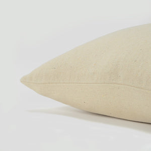 Black Taupe Canvas Fearless Throw Pillow