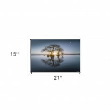 Tree Reflections 1 White Framed Print Wall Art