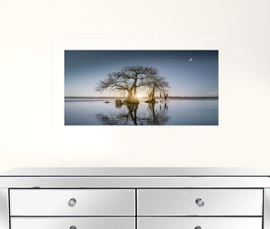 Tree Reflections 1 White Framed Print Wall Art